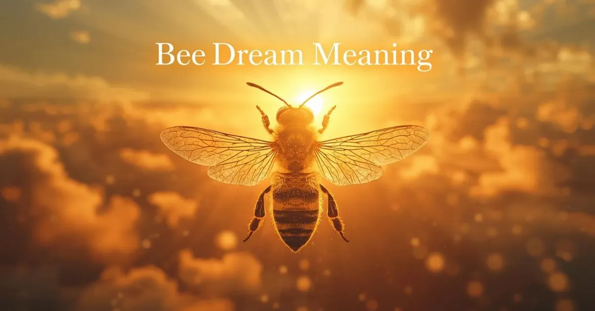 Bee Dream Meaning