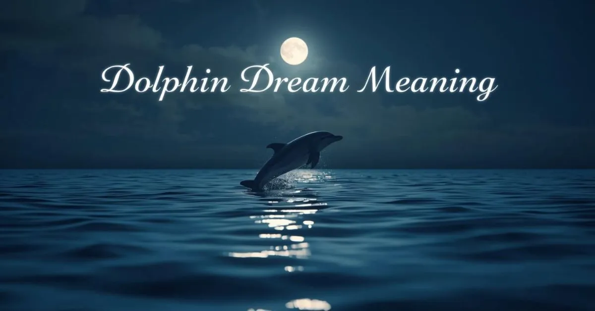 Dolphin Dream Meaning