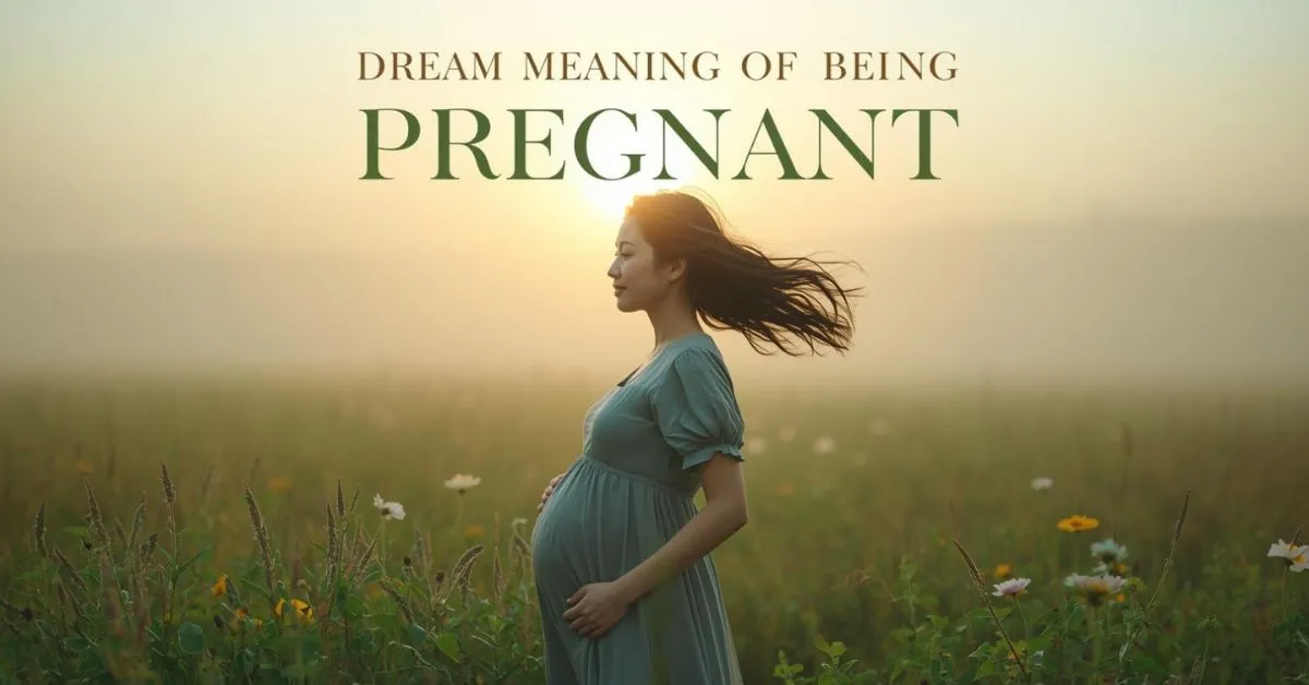 Dream Meaning Of Being Pregnant