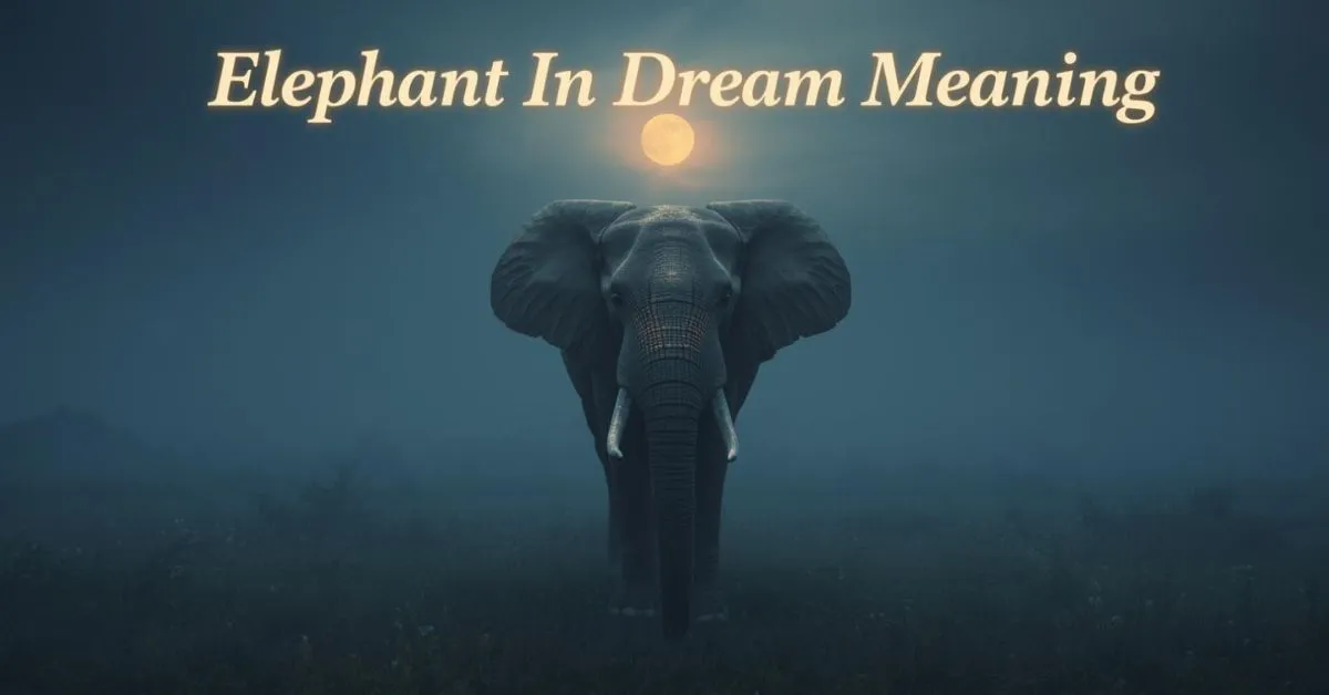Elephant In Dream Meaning