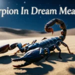 Scorpion In Dream Meaning