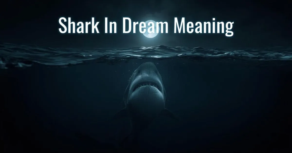 Shark In Dream Meaning