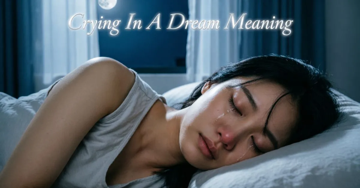 Crying In A Dream Meaning