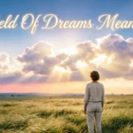 Field Of Dreams Meaning
