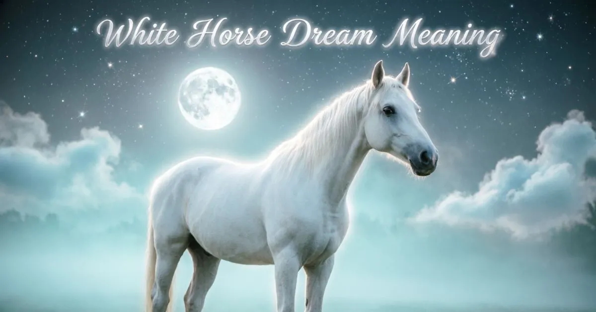 White Horse Dream Meaning