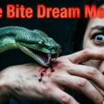 Snake Bite Dream Meaning