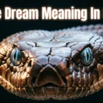 Snake Dream Meaning In Islam