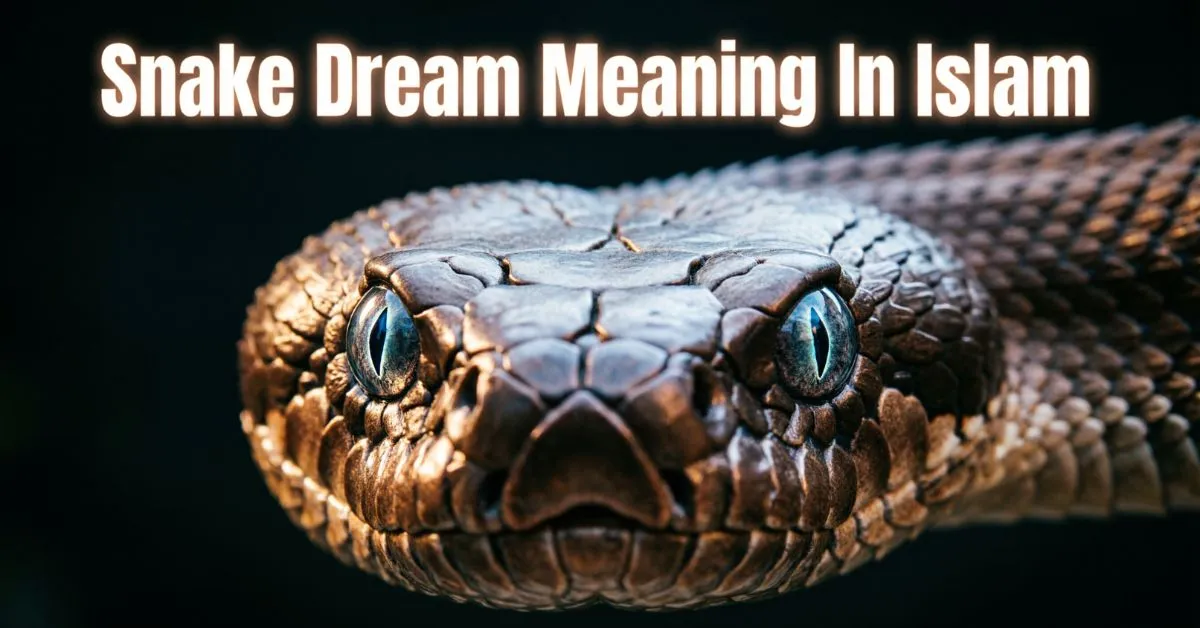 Snake Dream Meaning In Islam