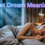 Wet Dream Meaning